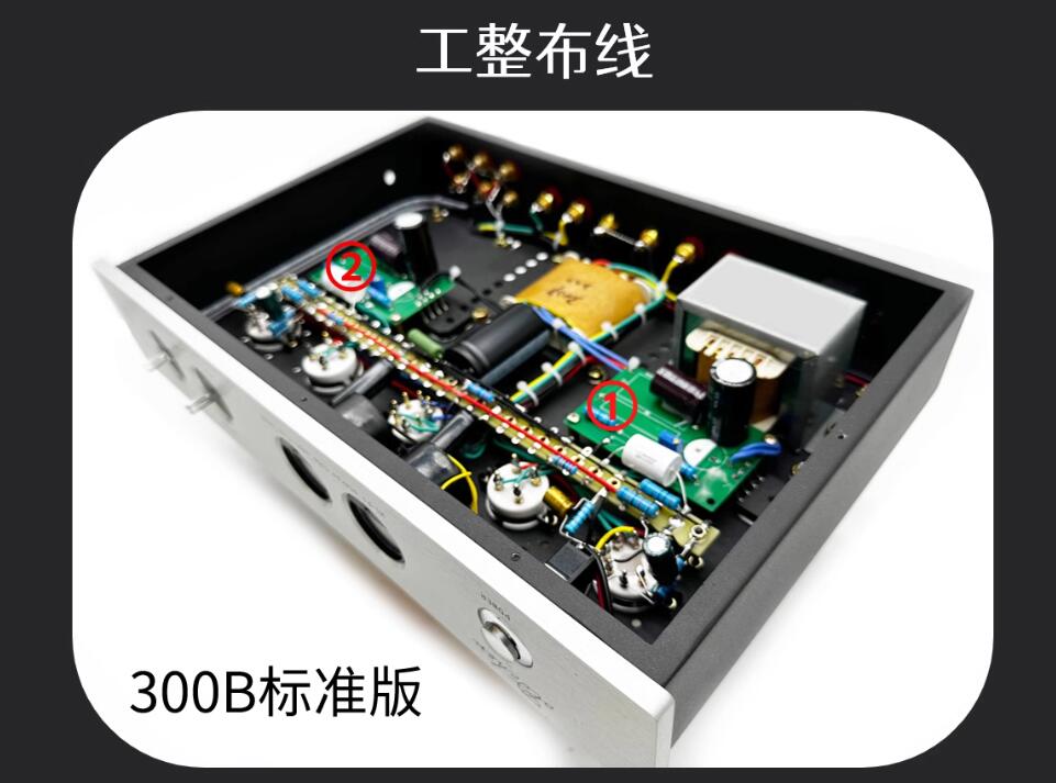 Oldchen 300B 9W*2 Tube Amplifi - Tube Amplifier Part ulasan dan harga